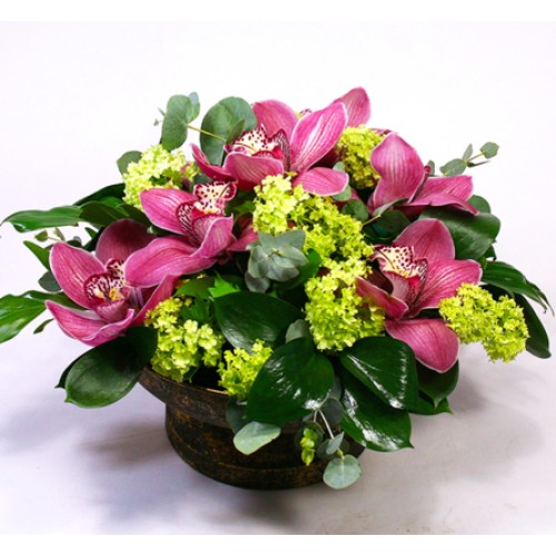 Orchid bowl in a spring mood M